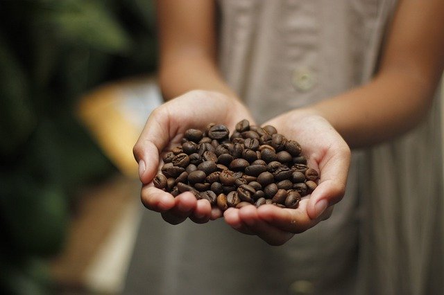 コーヒー豆の銘柄